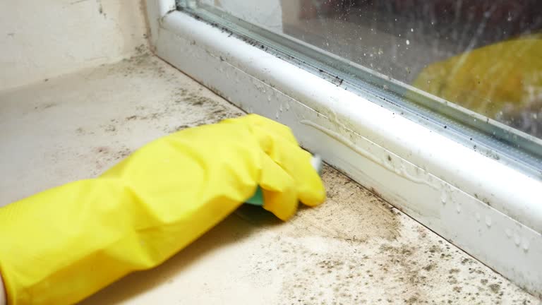 Best Forensic Mold Investigation  in Thiells, NY